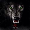 brayden_daniels